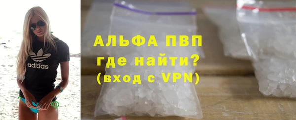 гашик Зеленокумск