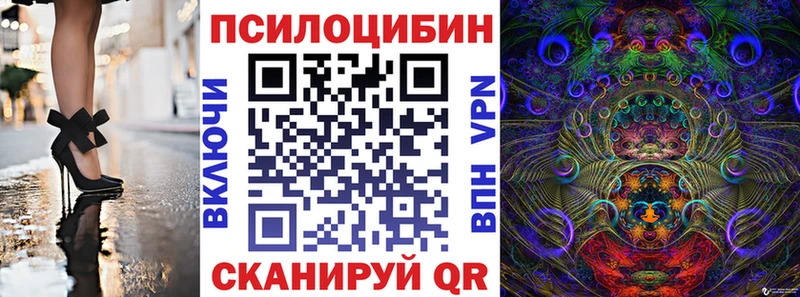 Купить где  Болхов  Галлюциногенные грибы Magic Shrooms 
