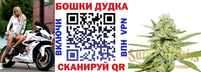 Бошки Шишки конопля  Купить закладки  Болхов 